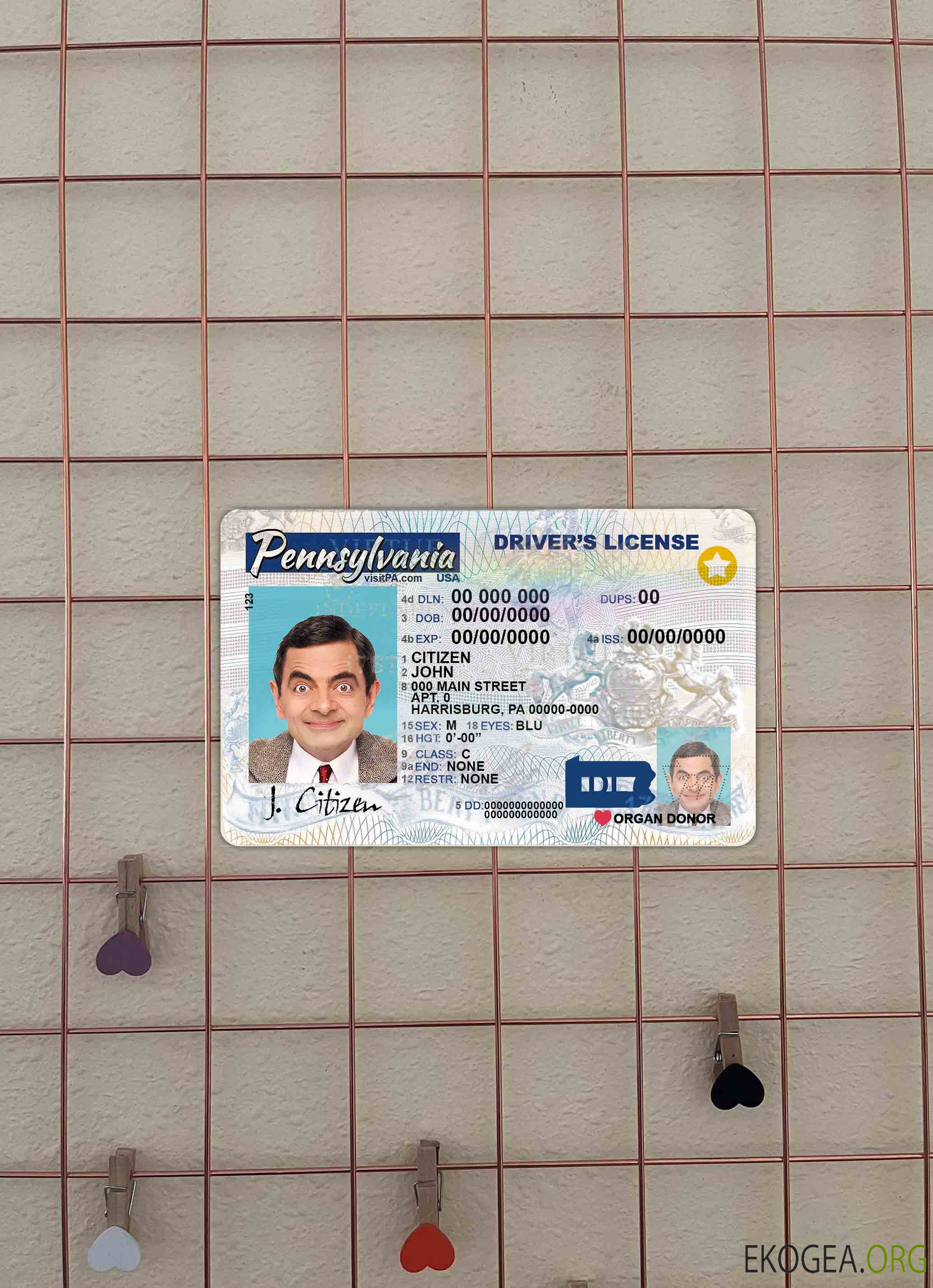 USA Pensylvania DL photolook AVANT